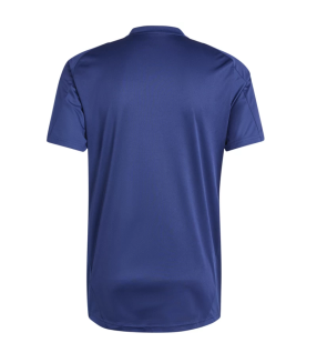 Conjunto Italia camiseta y Pantalón Corto EURO 2024/2025 Entrenamiento