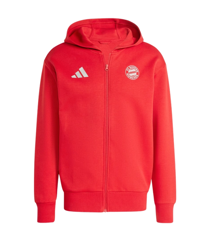 Bayern 2024/2025 Hooded Jacket