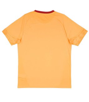 Galatasaray Shirt 2025/2026 Training - Puma