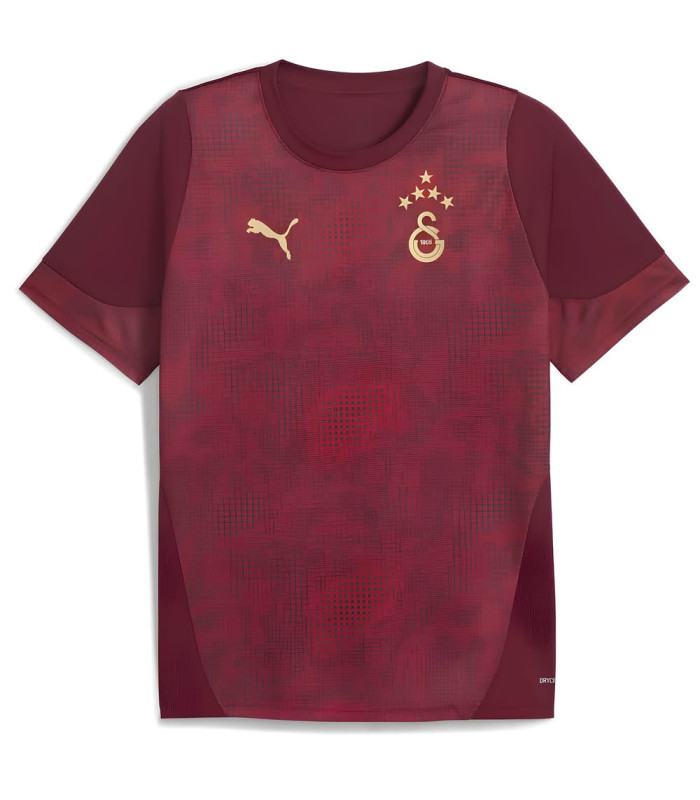  Galatasaray Shirt 2025/2026 Training - Puma