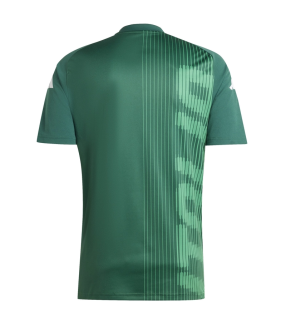 Camisola Itália EURO 2024/2025 Treino