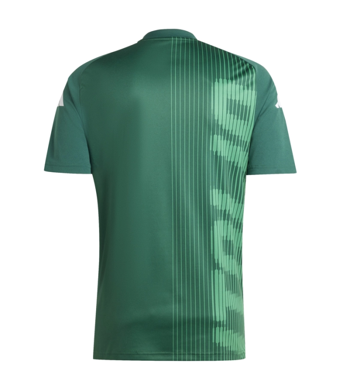 Camiseta Italia EURO 2024/2025 Entrenamiento