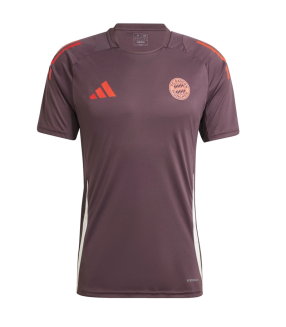 Camiseta Bayern Múnich 2024/2025 Entrenamiento