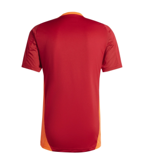 Camiseta Bayern Múnich 2024/2025 Entrenamiento