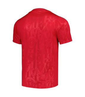 Camisola Liverpool 2024/2025 Treino