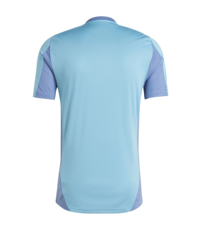 Camiseta Ajax Amsterdam 2024/2025 Entrenamiento