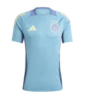 Ajax Amsterdam Shirt 2024/2025 Training