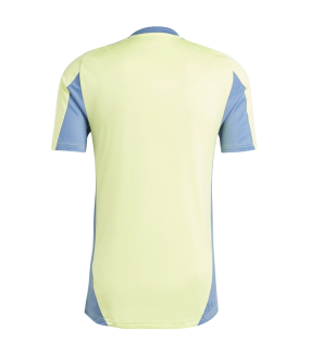 Camiseta Ajax Amsterdam 2024/2025 Entrenamiento