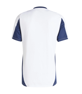 Camiseta Real Madrid 2024/2025 Entrenamiento