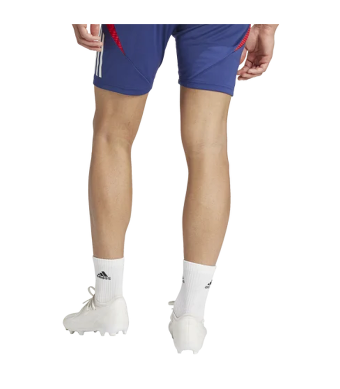 Ensemble Maillot Short OL Lyon 2024/2025 Entrainement