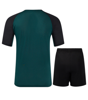 Ensemble Maillot Short Feyenoord  2024/2025 Entrainement