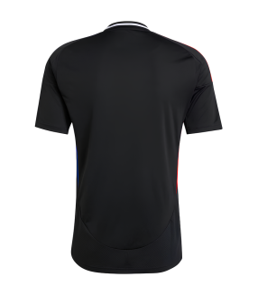 Olympique Lyon Trikot 2024/2025 Auswärts