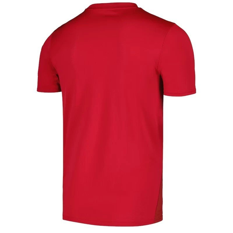  Maillot Serbie EURO 2024/2025 Entrainement