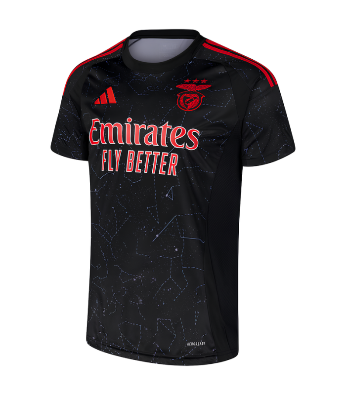 Benfica Lissabon Trikot 2024/2025 Auswärts