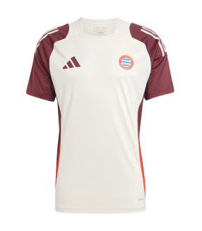 FC Bayern München Trikot 2024/2025 Training Champions League