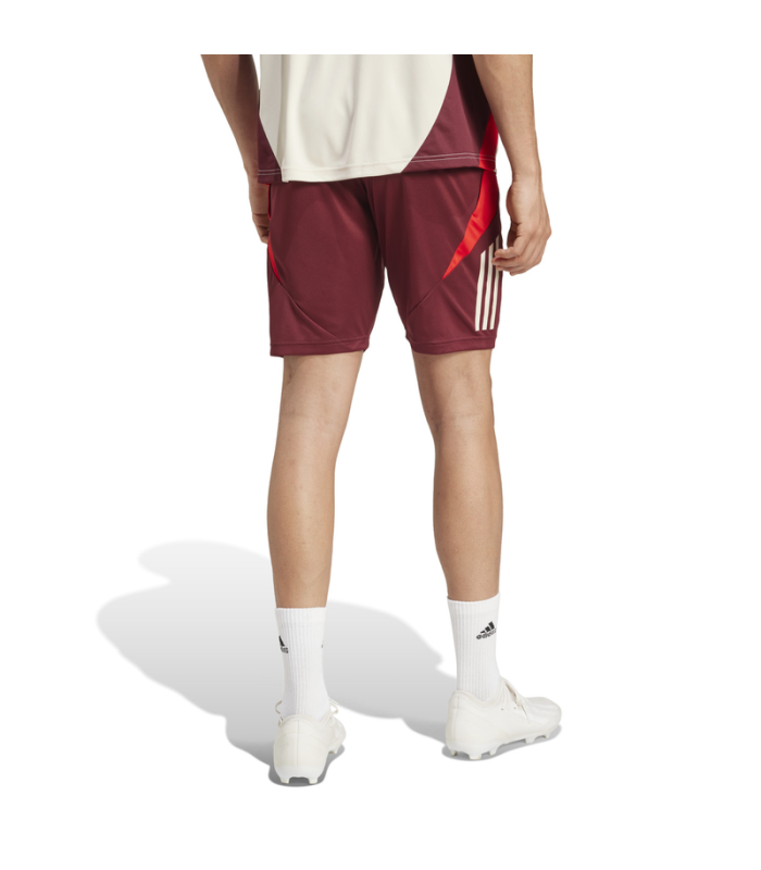 Ensemble Maillot Short Bayern 2024/2025 Entrainement Ligue des Champions