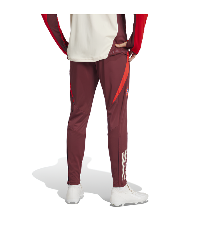 Bayern Munich Tracksuit 2024/2025 Champions League