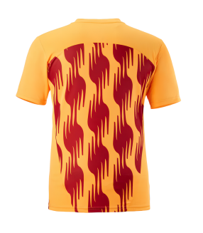 Galatasaray Shirt 2024/2025 Training