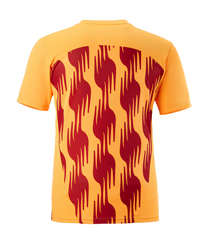 Camiseta Galatasaray 2024/2025 Entrenamiento