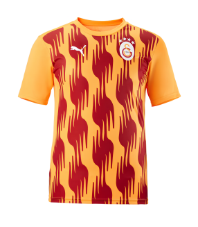 Camiseta Galatasaray 2024/2025 Entrenamiento