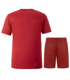 Conjunto Galatasaray Camisa e Calção 2024/2025 Treino