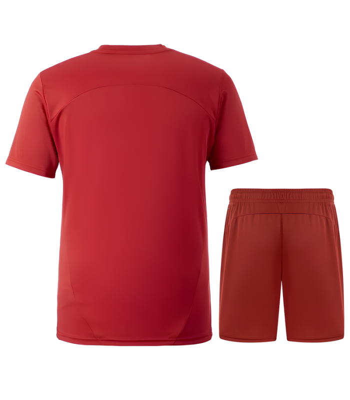 Conjunto Galatasaray camiseta y Pantalón Corto 2024/2025 Entrenamiento