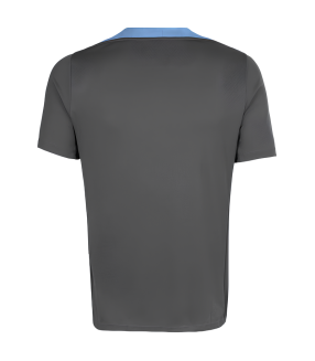 Camiseta Tottenham Hotspur 2024/2025 Entrenamiento