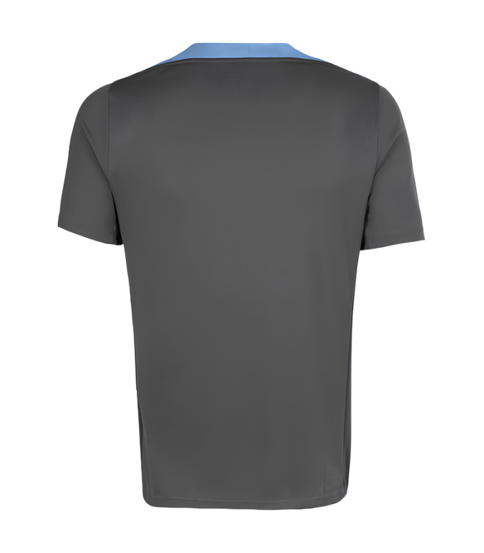 Camiseta Tottenham Hotspur 2024/2025 Entrenamiento