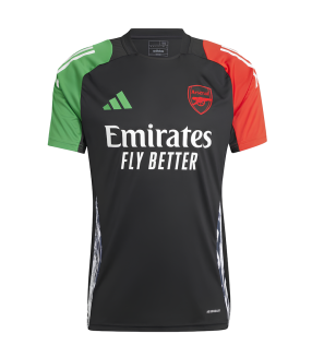 Camisola Arsenal 2024/2025 Treino Liga dos Campeões