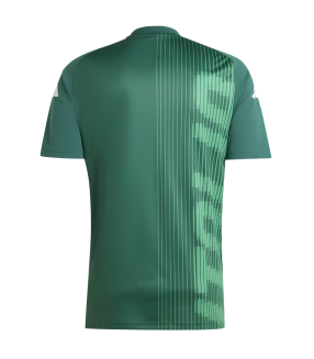 Conjunto Italia camiseta y Pantalón Corto EURO 2024/2025 Entrenamiento