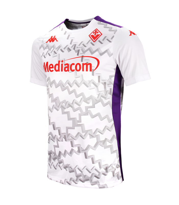 Camisola Fiorentina 2024/2025 Treino