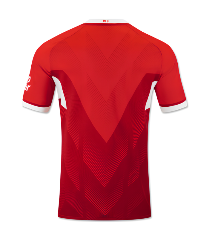 VFB Stuttgart Trikot 2024/2025 Auswärts