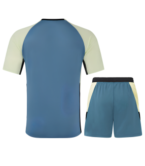 Conjunto Feyenoord camiseta y Pantalón Corto 2024/2025 Entrenamiento