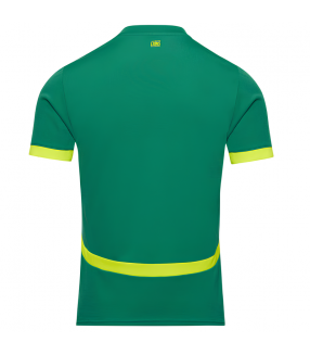 Camiseta Senegal 2025/2026 Segunda