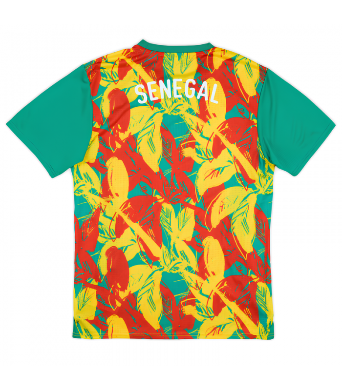 Camiseta Senegal 2025/2026 Entrenamiento